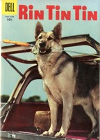 Rin Tin Tin - Primary