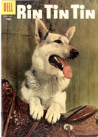 Rin Tin Tin - Primary