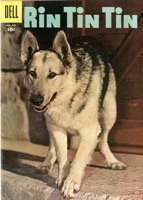 Rin Tin Tin - Primary