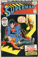 Superman - Primary