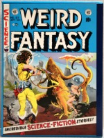 Weird Fantasy 4 Volume Set From 1 To 22 - Primary