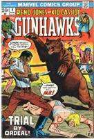 Gunhawks - Primary