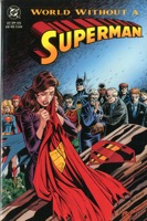 World Without A Superman   Soft Cover - Primary