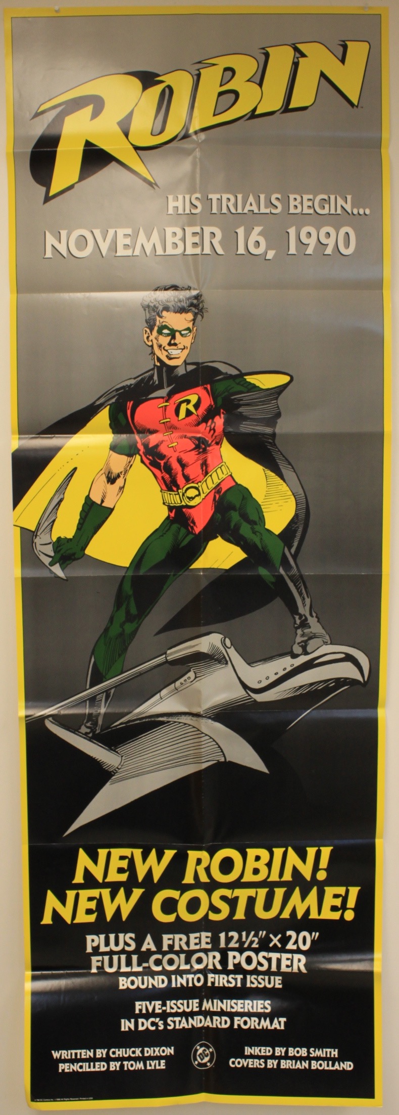 Robin             Poster - Primary