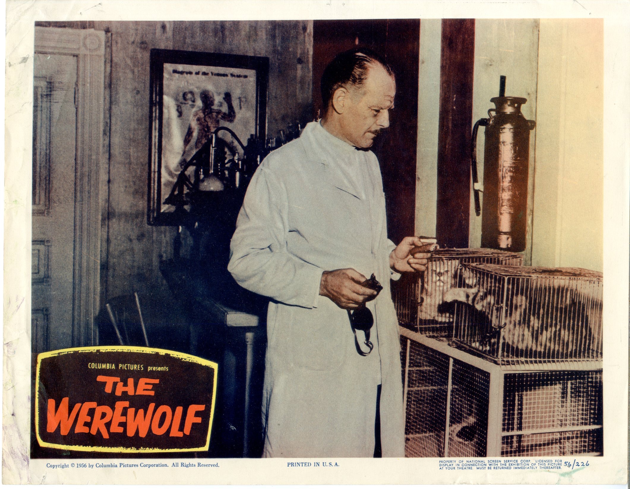 The Werewolf (1956), Full Movie