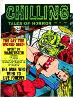 Chilling Tales Of Horror Vol 2 - Primary