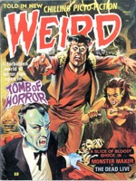 Weird  Vol 8 - Primary