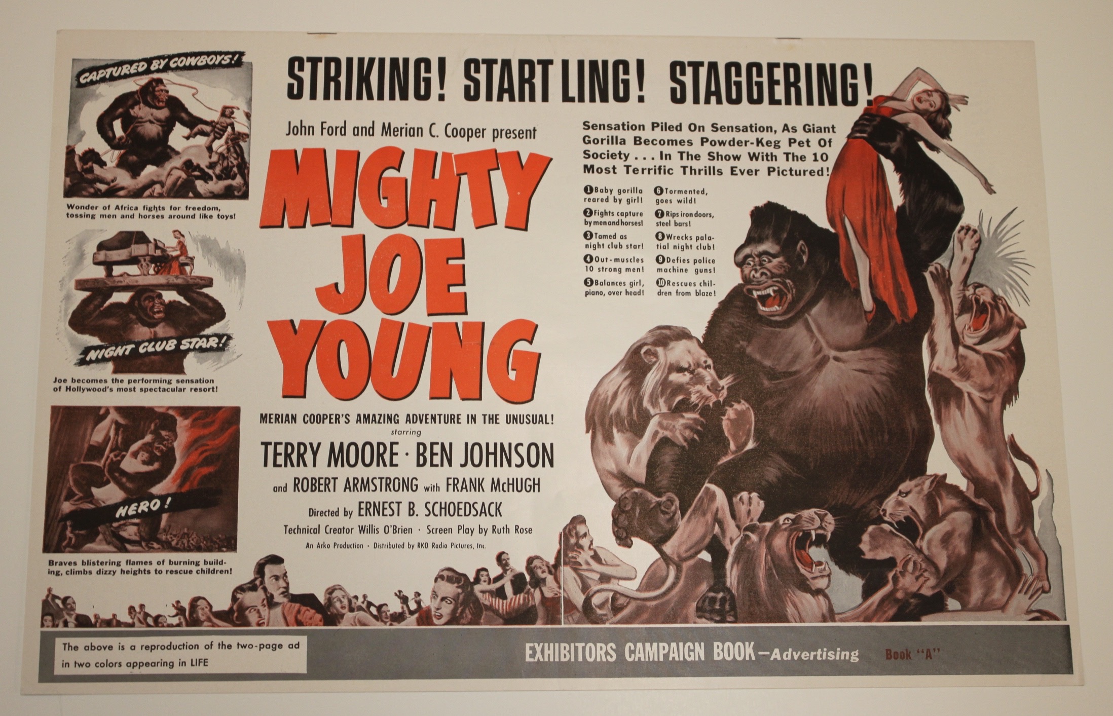 Mighty Joe Young Pressbook With Jacket
1949 - 21730