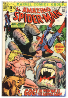 Amazing Spider-man - Primary