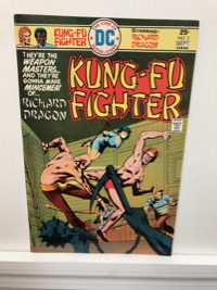 Richard Dragon Kung-fu Fighter - Primary
