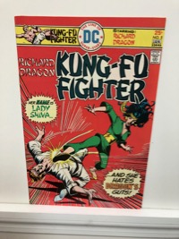 Richard Dragon Kung-fu Fighter - Primary